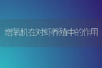 增氧机在对虾养殖中的作用