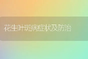 花生叶斑病症状及防治