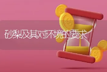 砂梨及其对环境的要求