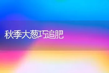 秋季大葱巧追肥