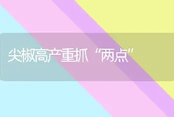 尖椒高产重抓“两点”