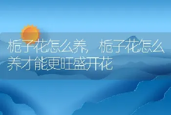 栀子花怎么养,栀子花怎么养才能更旺盛开花