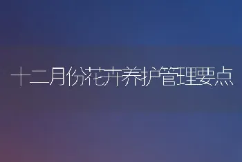 十二月份花卉养护管理要点