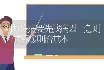 对虾发病要先找病因 急则治其标缓则治其本