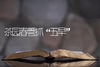 茶园春管抓“五早”