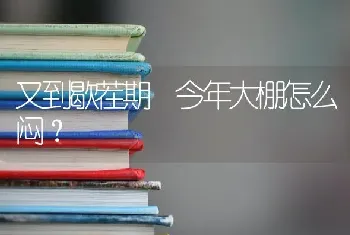 又到歇茬期 今年大棚怎么闷?