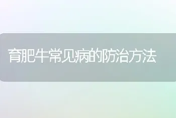 育肥牛常见病的防治方法