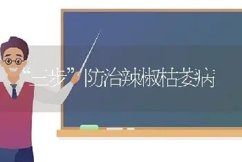 “三步”防治辣椒枯萎病