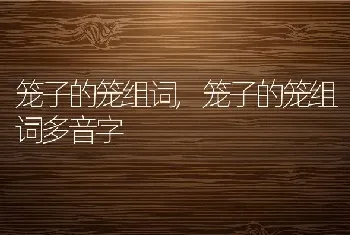 笼子的笼组词