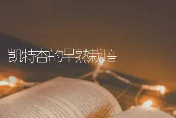 凯特杏的早熟栽培