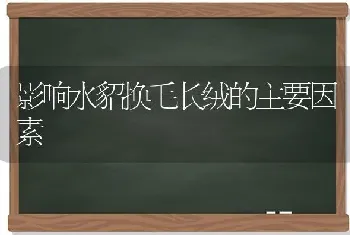 影响水貂换毛长绒的主要因素