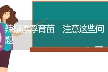 辣椒漂浮育苗 注意这些问题