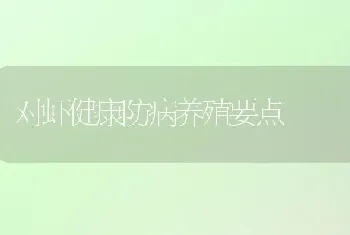 对虾健康防病养殖要点