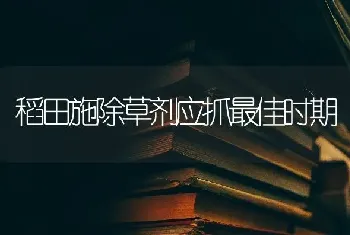 稻田施除草剂应抓最佳时期