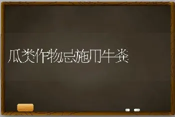 瓜类作物忌施用牛粪