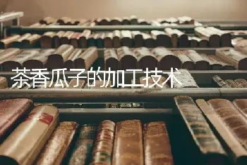 茶香瓜子的加工技术