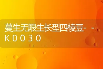 蔓生无限生长型四棱豆--K0030