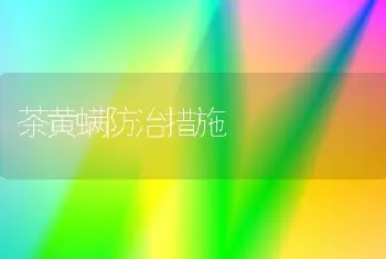 茶黄螨防治措施