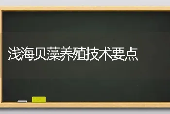 浅海贝藻养殖技术要点