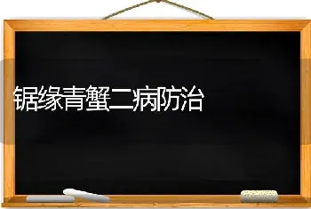 锯缘青蟹二病防治