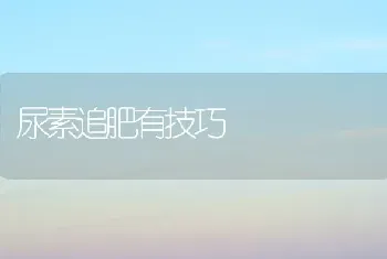 尿素追肥有技巧