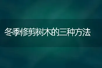 冬季修剪树木的三种方法