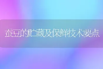 蚕豆的贮藏及保鲜技术要点