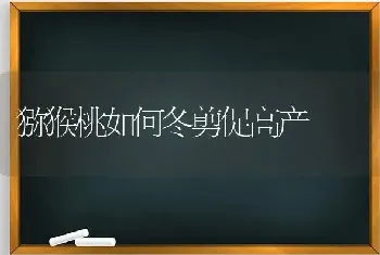 猕猴桃如何冬剪促高产