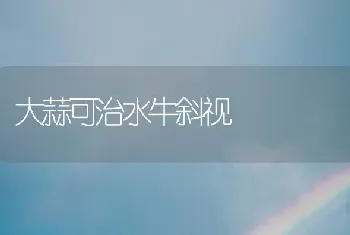 无公害牛蒡栽培技术