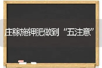 庄稼施钾肥做到“五注意”