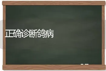 正确诊断鸽病