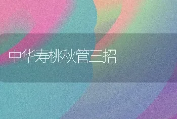 中华寿桃秋管三招