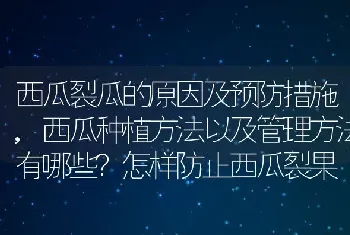 西瓜裂瓜的原因及预防措施