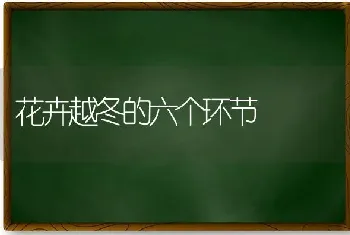 花卉越冬的六个环节