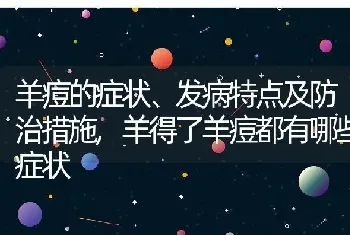 羊痘的症状、发病特点及防治措施