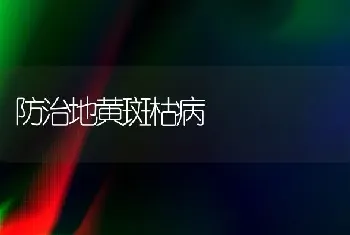 防治地黄斑枯病