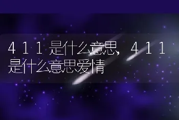 411是什么意思,411是什么意思爱情