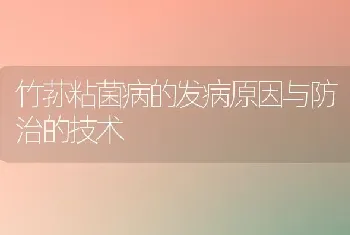 竹荪粘菌病的发病原因与防治的技术