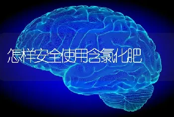 怎样安全使用含氯化肥