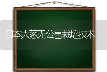 日本大葱无公害栽培技术