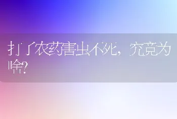 池杉的繁殖技术和管理要点