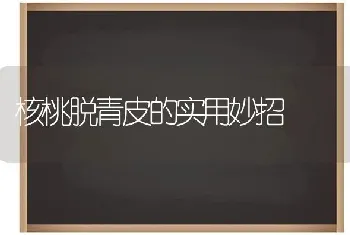 核桃脱青皮的实用妙招