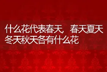 什么花代表春天