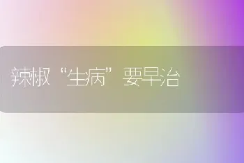 辣椒“生病”要早治