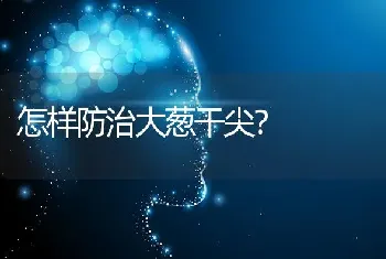 怎样防治大葱干尖?