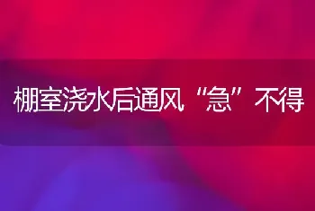 棚室浇水后通风“急”不得