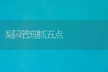 梨园管理抓五点