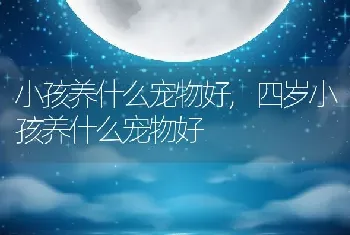 小孩养什么宠物好