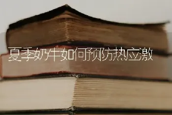 夏季奶牛如何预防热应激