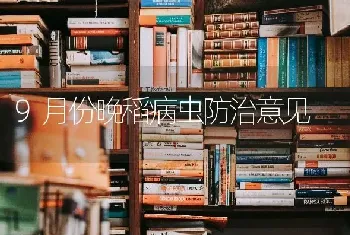 9月份晚稻病虫防治意见